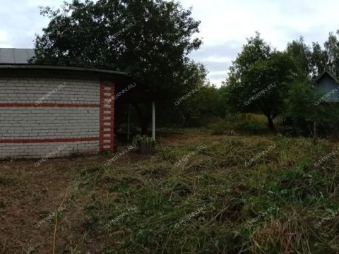dom-derevnya-sysoevka-bogorodskiy-municipalnyy-okrug фото