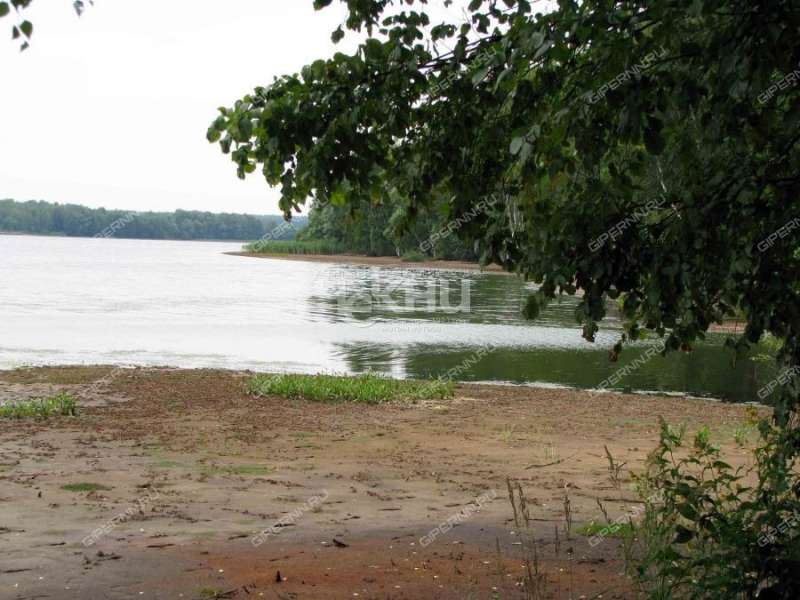 дом на улице Центральная деревня Молчаново