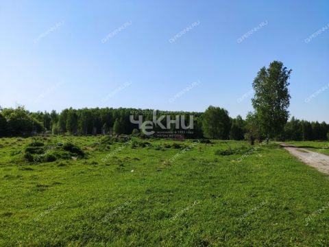 derevnya-mednikovo-gorodskoy-okrug-chkalovsk фото