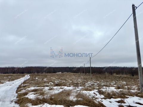 derevnya-kolosiha-gorodskoy-okrug-chkalovsk фото