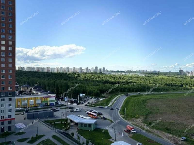 двухкомнатная квартира на Русской улице улице дом 4 деревня Анкудиновка