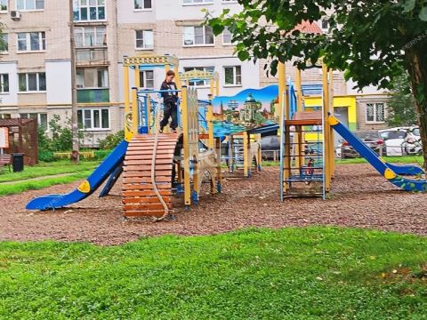 3-komnatnaya-ul-ostrovskogo-d-10 фото