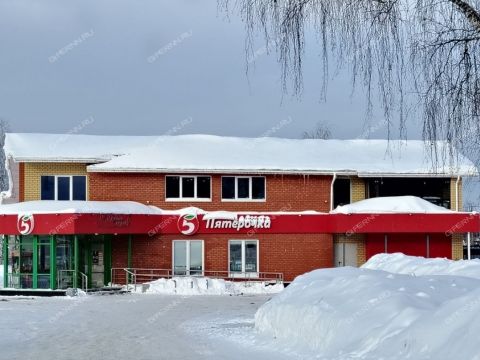 2-komnatnaya-derevnya-novolikeevo-kstovskiy-rayon фото