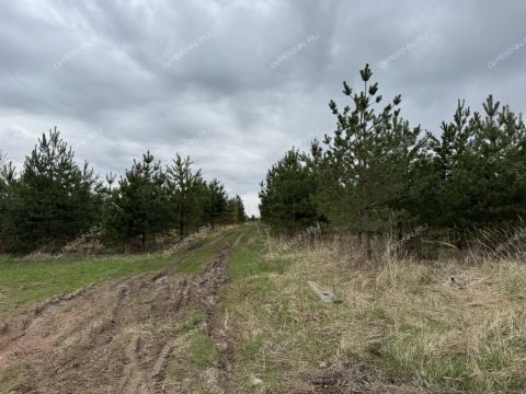 derevnya-nepecino-bogorodskiy-municipalnyy-okrug фото