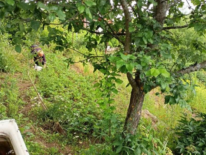 дача на СНТ Механизатор посёлок при станции Анкудиновка