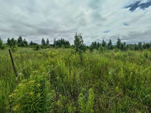 tsn-bugrov-park-dalnekonstantinovskiy-rayon фото