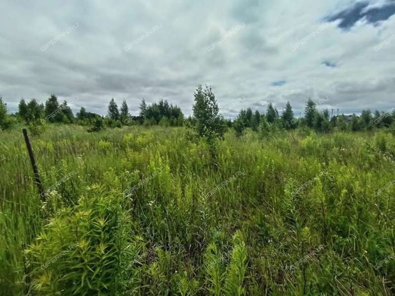 земельный участок 600 соток ТСН Бугров Парк