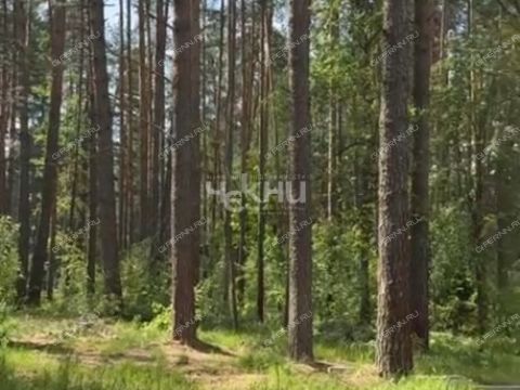 derevnya-lindo-usad-gorodskoy-okrug-bor фото