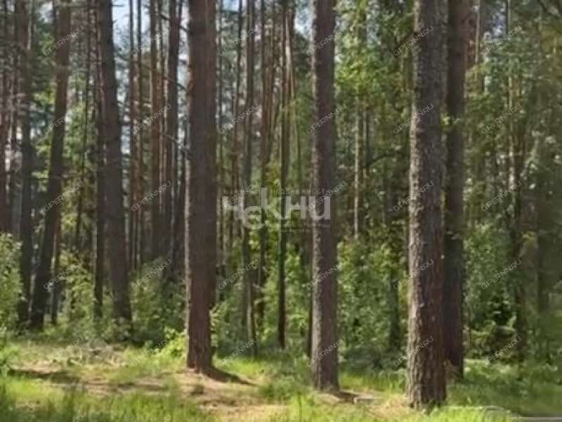 земельный участок 15 соток деревня Линдо-Усад