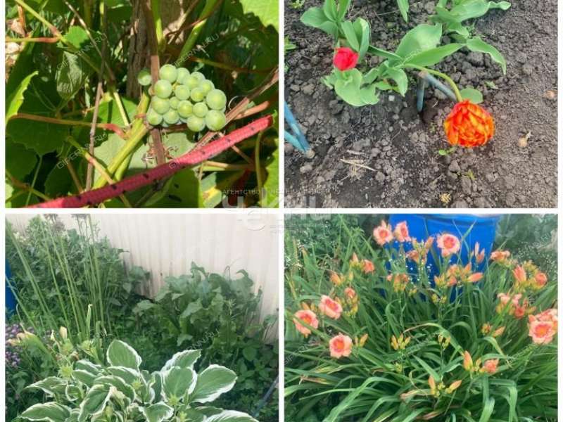 дом на Ново Луговая рабочий посёлок Большое Мурашкино