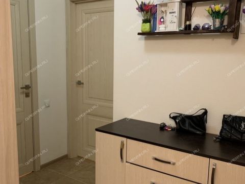 2-komnatnaya-derevnya-ankudinovka-kstovskiy-rayon фото