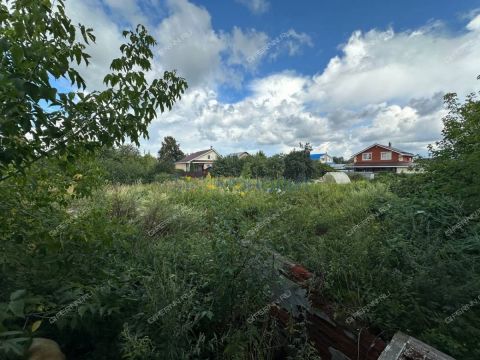 rabochiy-poselok-bolshoe-kozino-balahninskiy-municipalnyy-okrug фото