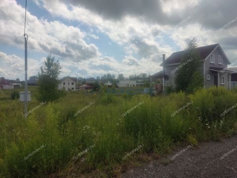 selo-efimevo-bogorodskiy-municipalnyy-okrug фото