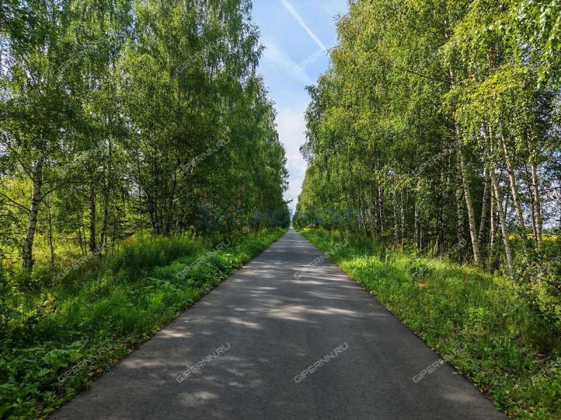 земельный участок 25 соток Казанская улица деревня Ватома