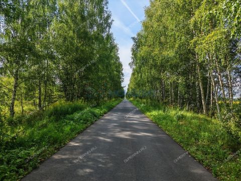 derevnya-vatoma-gorodskoy-okrug-bor фото