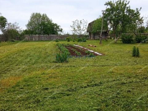 dom-derevnya-piyaichnoe-sosnovskiy-rayon фото