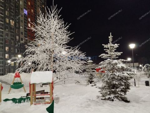 2-komnatnaya-derevnya-ankudinovka-kstovskiy-rayon фото