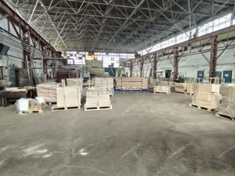 derevnya-prokoshevo-kstovskiy-rayon фото