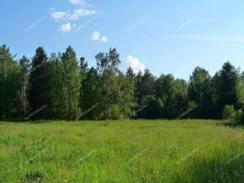 chistye-klyuchi-derevnya-bugry-ter-tsn-uchastok-n35-dalnekonstantinovskiy-rayon фото