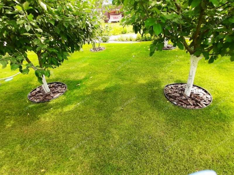 коттедж на Тростниковой улице