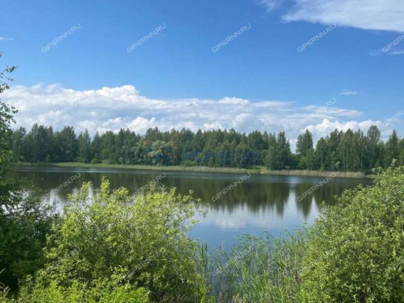 дом на улице Посевная деревня Каликино
