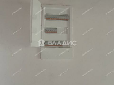 dom-selo-arapovo-bogorodskiy-municipalnyy-okrug фото