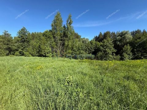 selo-egorevskoe-lyskovskiy-municipalnyy-okrug фото