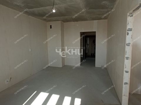 1-komnatnaya-derevnya-afonino-kstovskiy-rayon фото