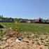 земельный участок 10 соток Березовая улица село Шелокша