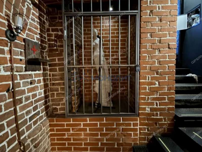 помещение под помещение свободного назначения, недвижимость под общепит на Рождественской улице