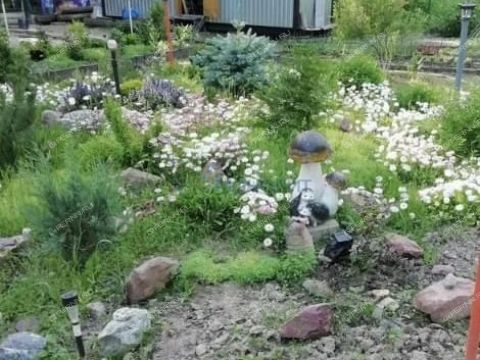 dacha-selo-kamenki-bogorodskiy-municipalnyy-okrug фото