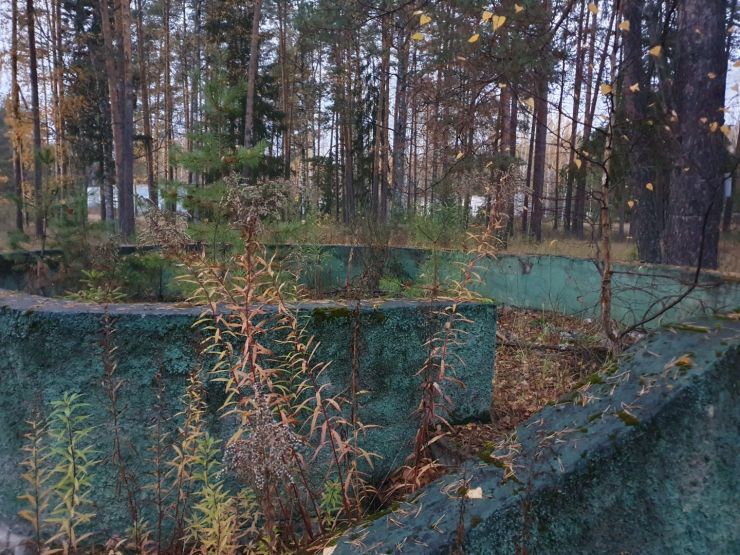 Трибуна общелагерной линейки. Фото: Ксения Ражева