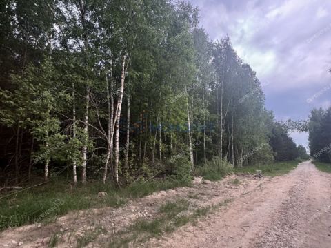 derevnya-nepecino-bogorodskiy-municipalnyy-okrug фото