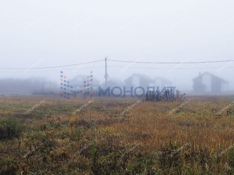 dpk-priozernyy-2-bogorodskiy-municipalnyy-okrug фото