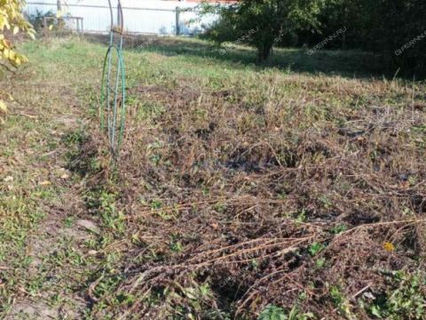 dom-selo-simbiley-dalnekonstantinovskiy-rayon фото