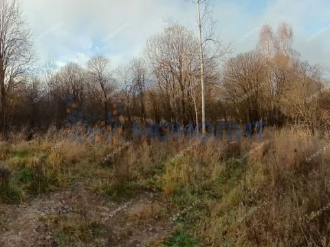 derevnya-hmelevaya-polyana-dalnekonstantinovskiy-rayon фото