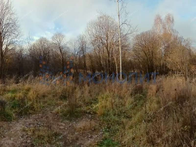 земельный участок 619 соток - деревня Хмелевая Поляна