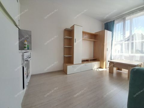 kvartira-studiya-ul-pravdinskaya-d-43 фото