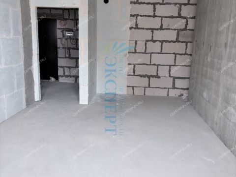 1-komnatnaya-ul-timiryazeva-d-9-k2 фото