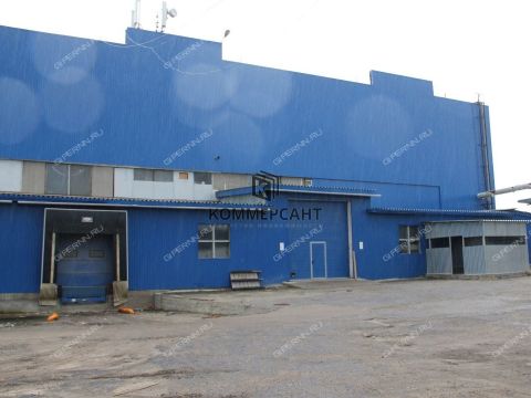 novinskiy-selsovet фото