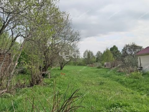 dacha-derevnya-mokeiha-gorodeckiy-rayon фото