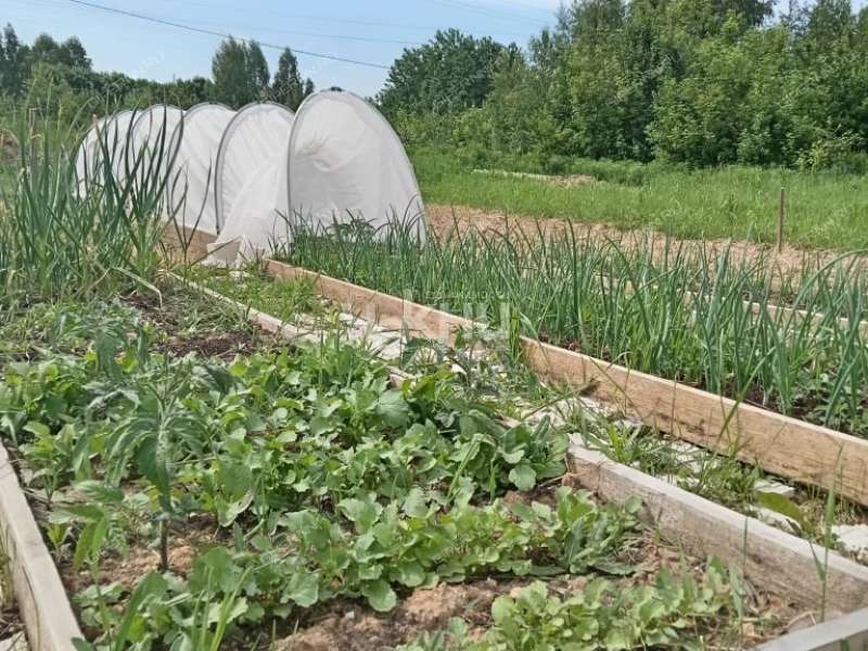 дом на Северная село Смольки