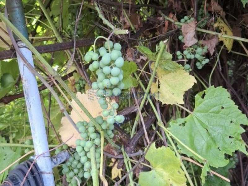 дом на Центральной улице деревня Хабарское