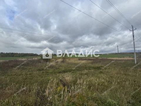 selo-afanasevo-bogorodskiy-municipalnyy-okrug фото