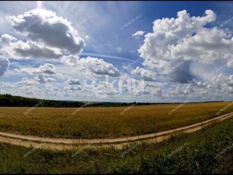 selo-bezvodnoe-kstovskiy-rayon фото