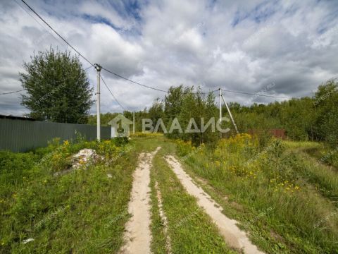 selo-spirino-bogorodskiy-municipalnyy-okrug фото