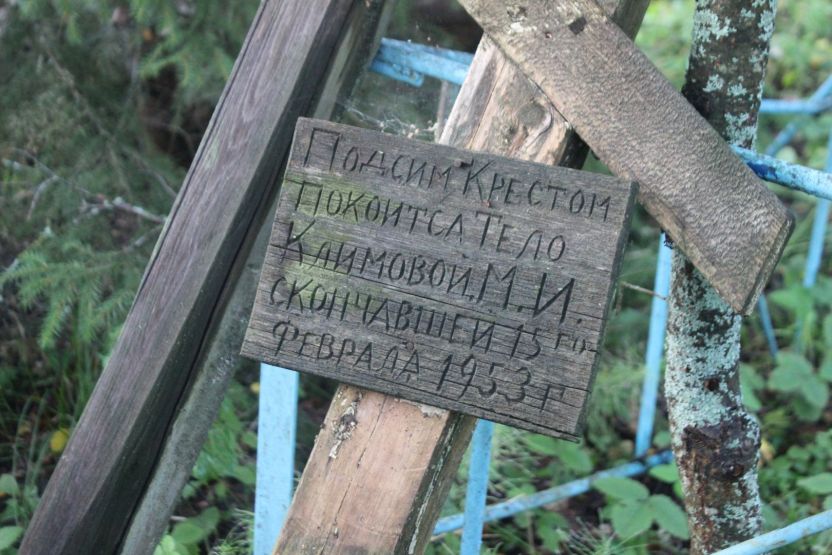 Фото: Ксения Ражева / gipernn.ru