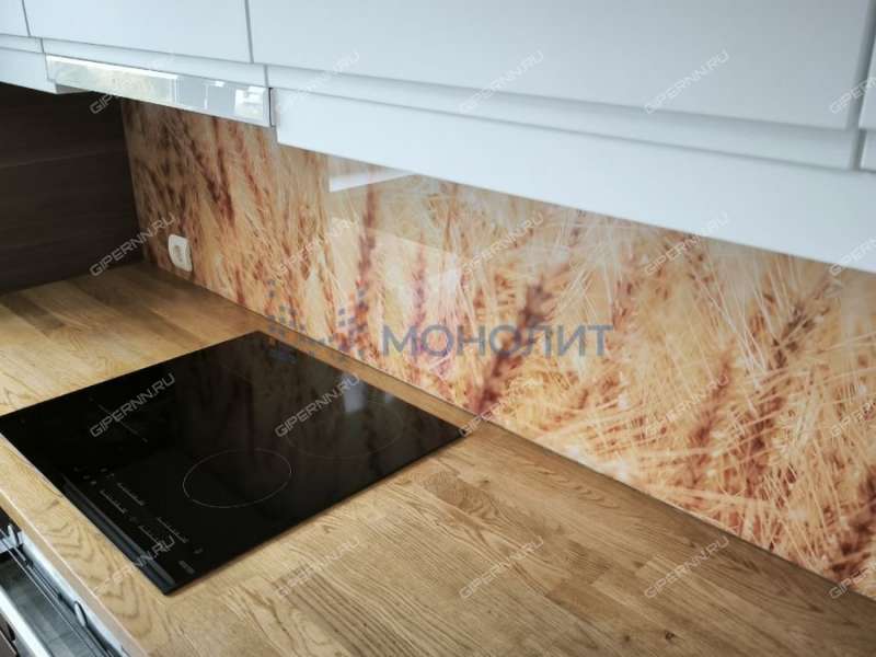 трёхкомнатная квартира на Мончегорской улице дом 12 к3