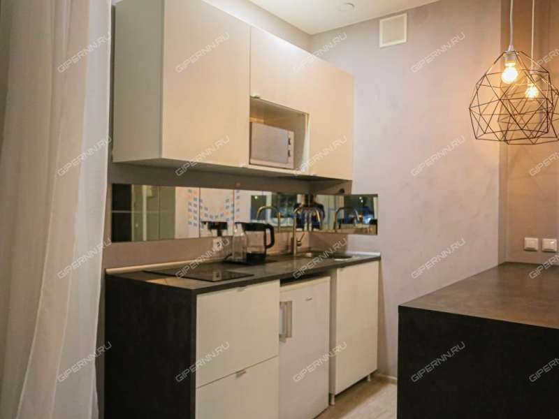 квартира-студия на Академической улице дом 12 деревня Афонино