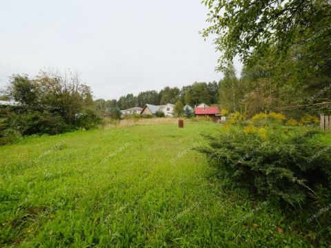 dom-selo-kantaurovo-gorodskoy-okrug-bor фото